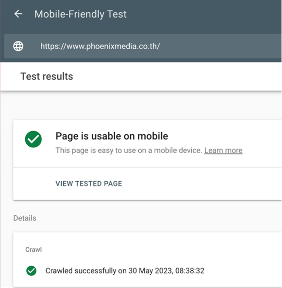 Example of Google Mobile Friendly Test