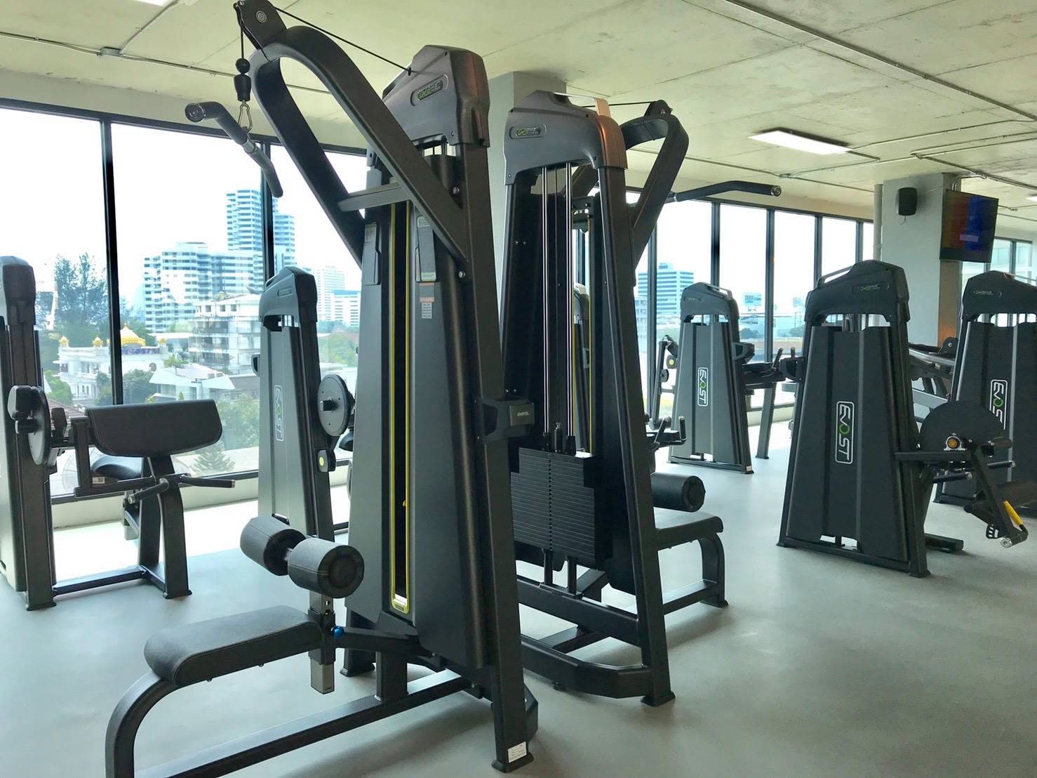 Strength training machines with city views at IQ Fitness