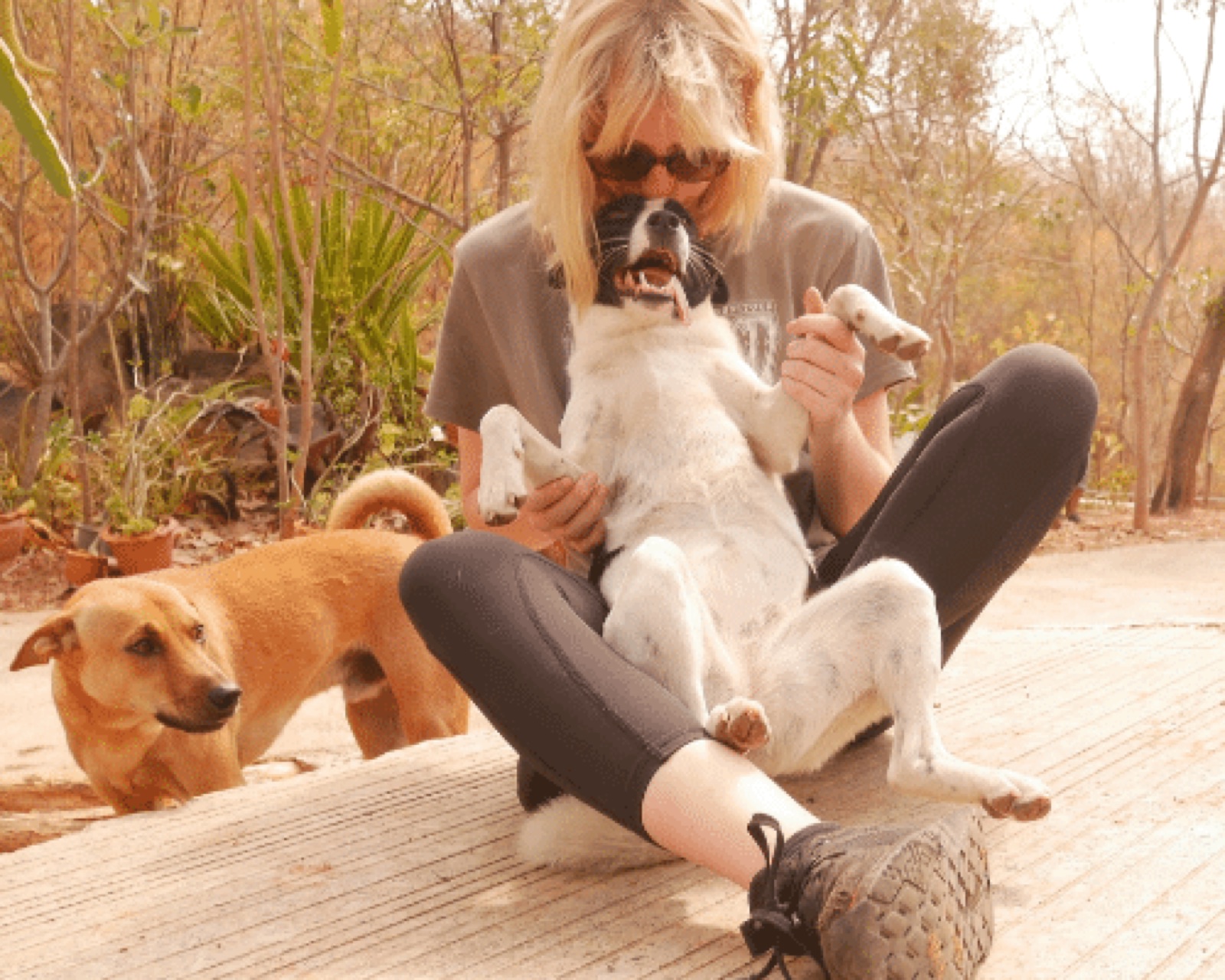A Rescue PAWS volunteer sitting with rescued dogs
