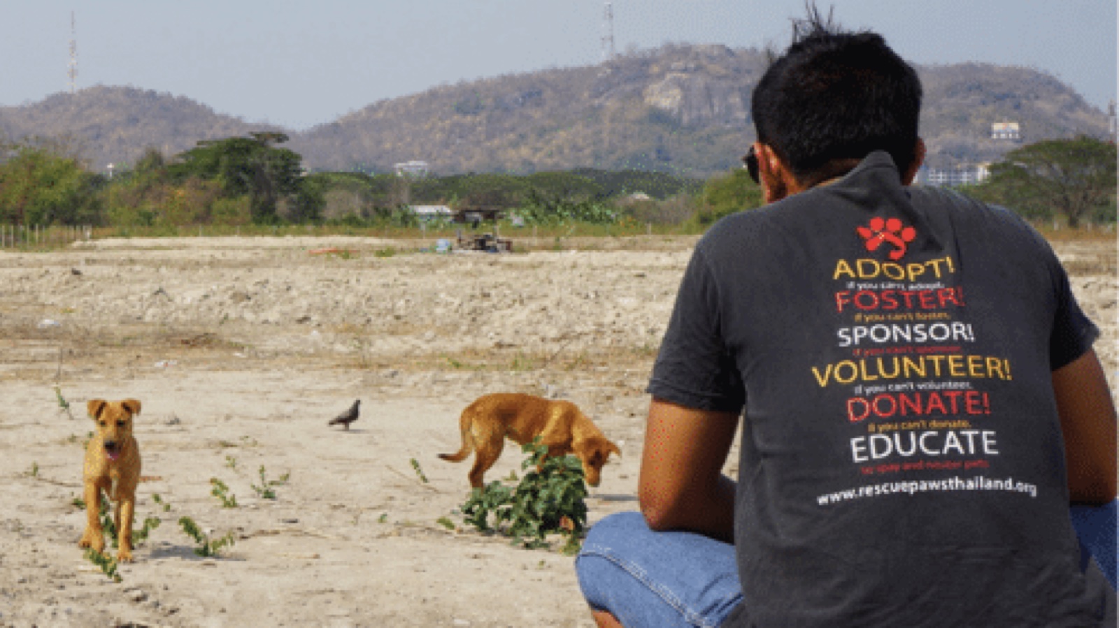 A Rescue PAWS volunteer with dogs on a beach