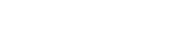 TikTok Ads